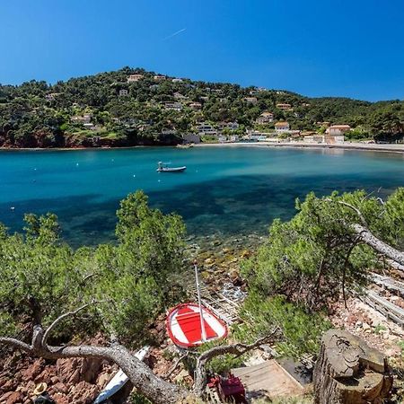 Appartement "Le Fabregas" 4 Pers Vue Mer La Seyne-sur-Mer Dış mekan fotoğraf