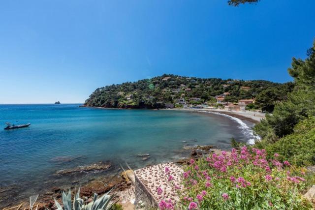 Appartement "Le Fabregas" 4 Pers Vue Mer La Seyne-sur-Mer Dış mekan fotoğraf